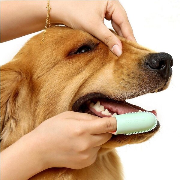 3Pcs Pet Soft Tooth Cleaning Care Finger Wrap Cat Dog Cleaning Toothbrush