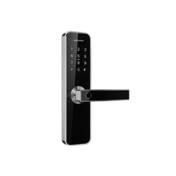 Auslock H31B Handy Series Fingerprint Bluetooth Wi-Fi Smart Door Locks