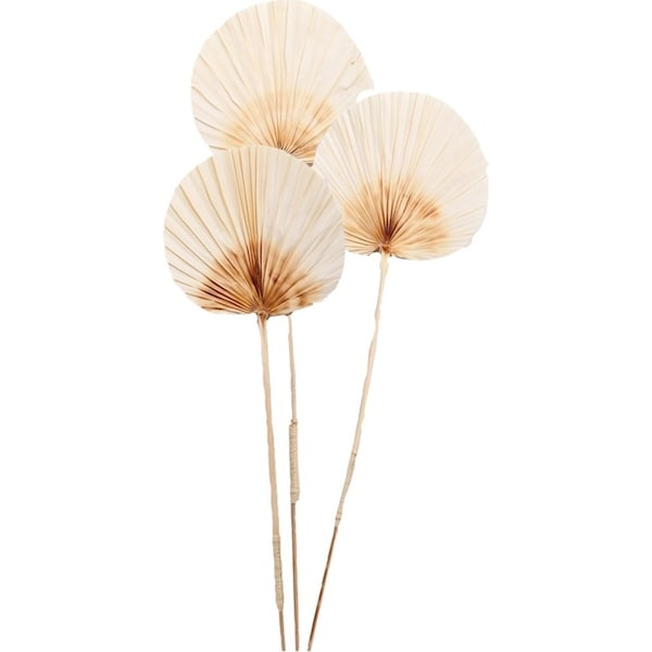 3pc Urban 90cm Dried Foliage Ombre Palm w/ Stem Preserved Home Display White