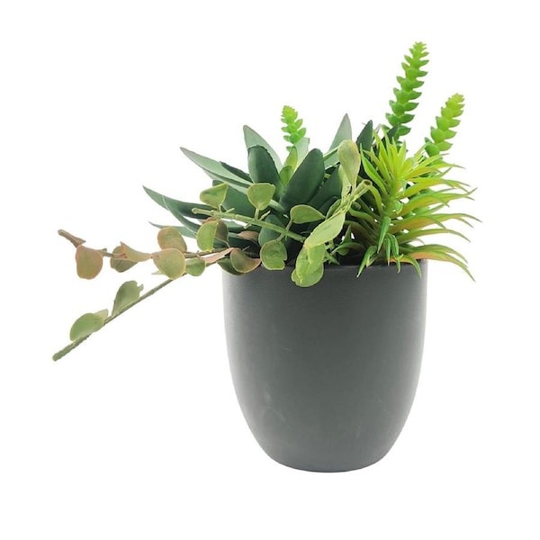 Urban Mixed Succulents 24cm Artificial Potted Plant Fake/Faux Indoor Decor Green