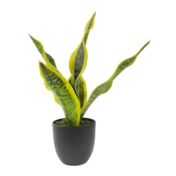 Urban Mother in-Laws Tongue 34cm Artificial Potted Plant Fake/Faux Decor Green