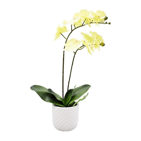 Urban Potted Artificial 51cm Orchid Flower Plant Fake Faux Indoor Decor Cream