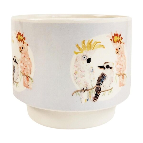 Urban 15cm Ceramic FB Australian Birds Planter Plant Pot Home/Garden Decor Blue