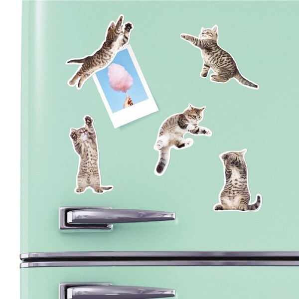 Mustard - Action Cat Magnets - Set of 12