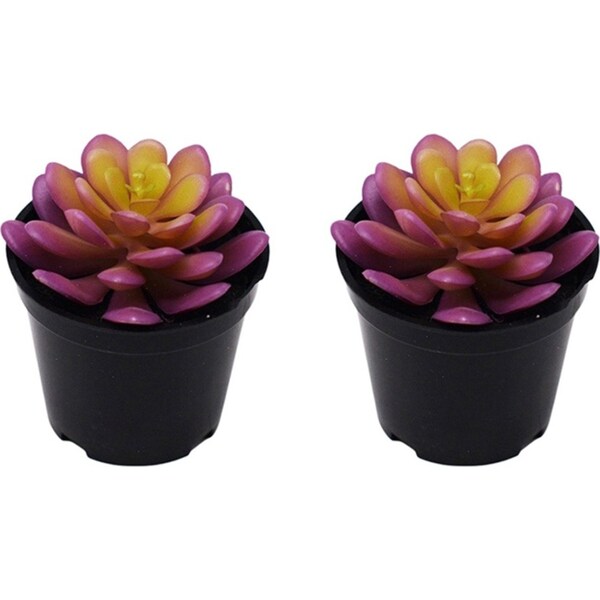 2x Urban Potted Artificial 9cm Hens Chicks Succulent Plant Fake/Faux Decor Pink