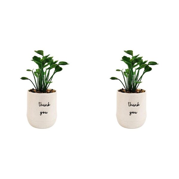 2x Urban Positivity Quote 9cm Thank You Potted Plant Artificial Pot Home Decor