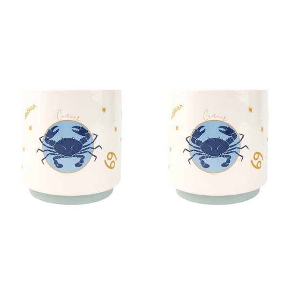 2x Urban Cancer Zodiac 13cm Ceramic Planter Flower/Plant Pot Home Decor Sml Blue