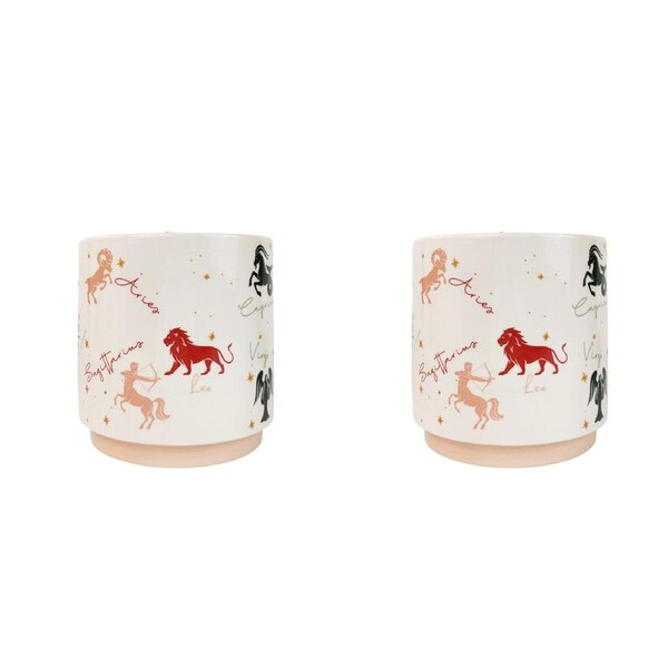 2x Urban Zodiac 16cm Ceramic Planter Colourful Flower/Plant Pot Desk Decor Med