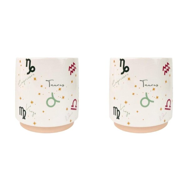 2x Urban Zodiac 13cm Ceramic Planter Colourful Flower/Plant Pot Desk Decor Small