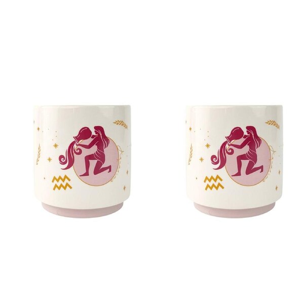 2x Urban Aquarius Zodiac 13cm Ceramic Planter Flower/Plant Pot Decor Sml Purple