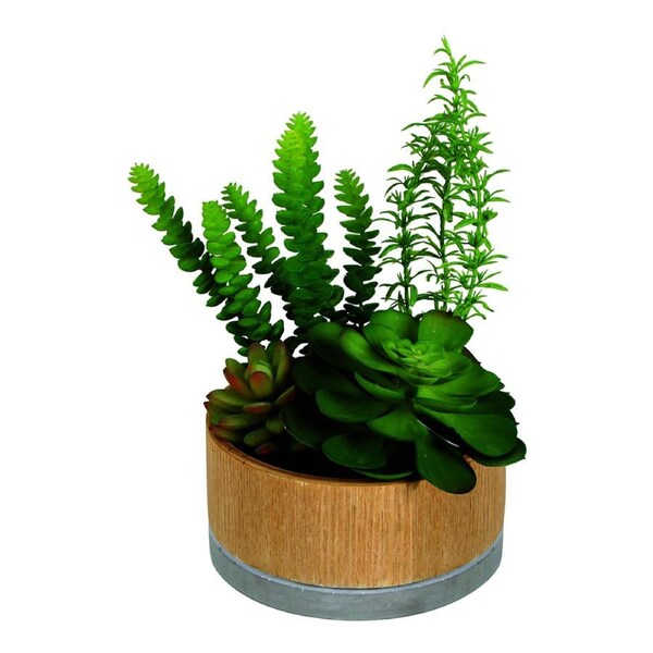 Maine & Crawford 16cm Sensi Succulents in Hex Pot Artificial/Fake Plant Green