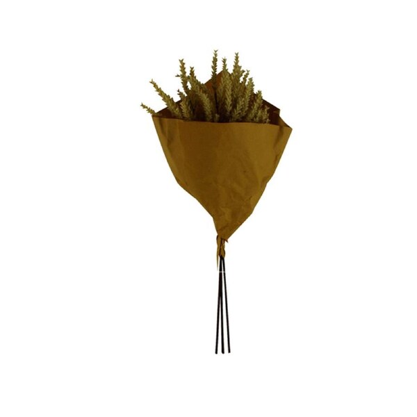 Maine & Crawford 50cm Astilbe Bouquet In Paper Wrap Artificial/Fake Faux Brown