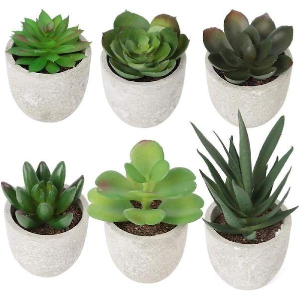 Artificial Succulent Plants Set 6