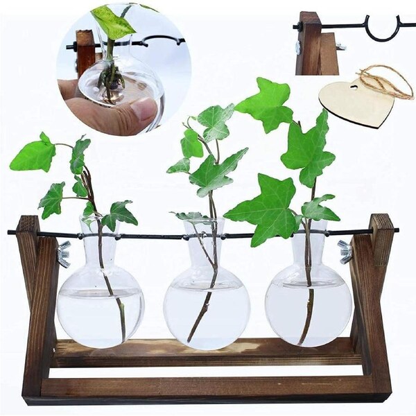 Terrarium Planter Desktop Glass 3 Vase