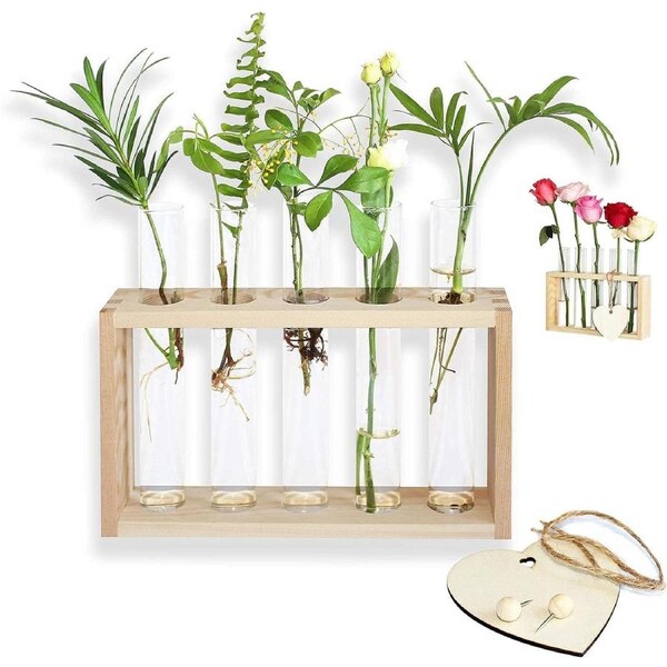 Hydroponic Plant Stand Terrarium DIY Kit