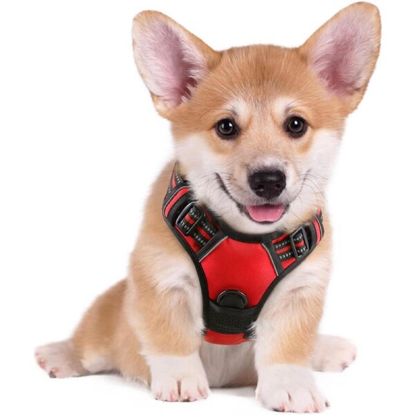 Dog Harness No Pull Pet Harness Red S