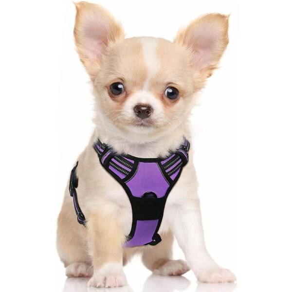 Dog Harness No Pull Pet Harness Purple S