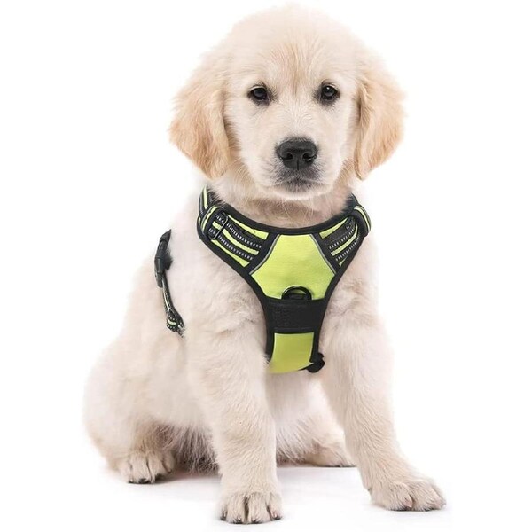 Dog Harness No-Pull Pet Harness Green S