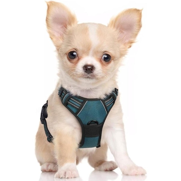 Dog Harness No Pull Pet Harness Teal S