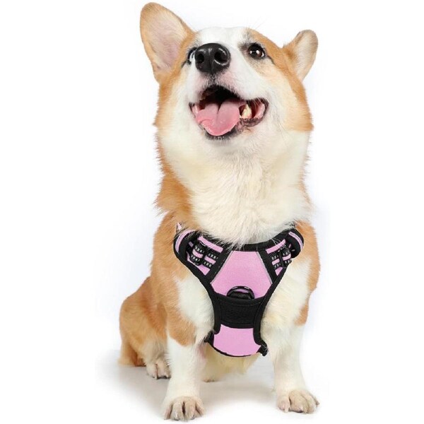 Dog Harness No Pull Pet Harness Pink M