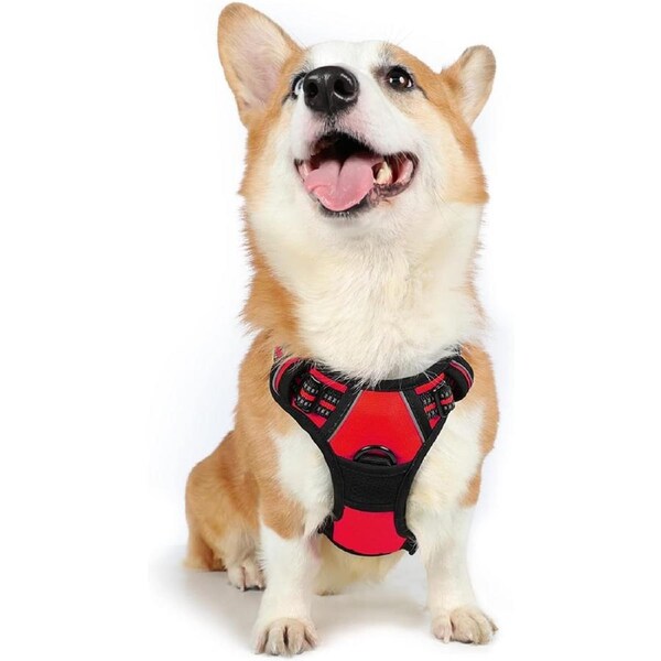 Dog Harness No-Pull Pet Harness Red M