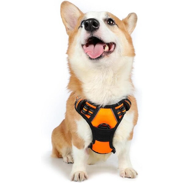 Dog Harness No Pull Pet Harness Orange M