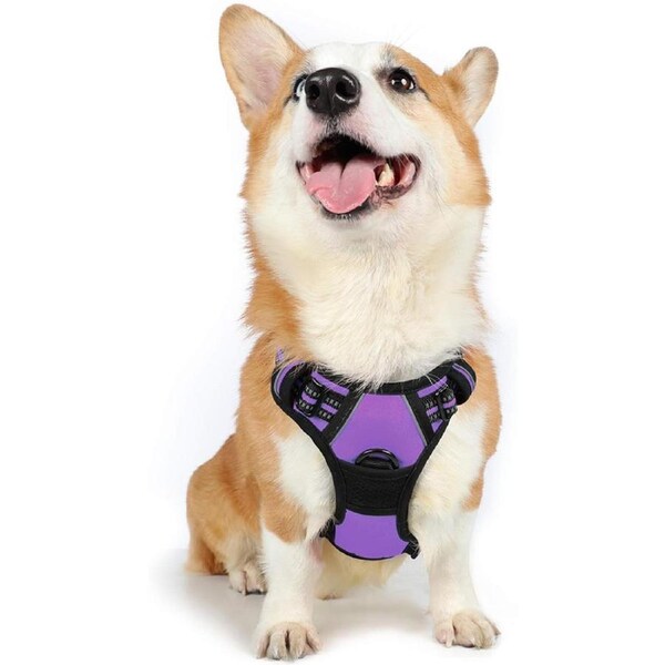Dog Harness No Pull Pet Harness Purple M