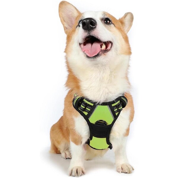 Dog Harness No Pull Pet Harness Green M
