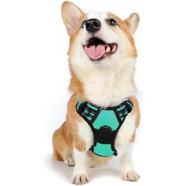 Dog Harness No Pull Pet Harness M Mint Green