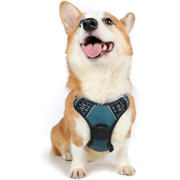 Dog Harness Pet Vest Outdoor Reflective Teal M