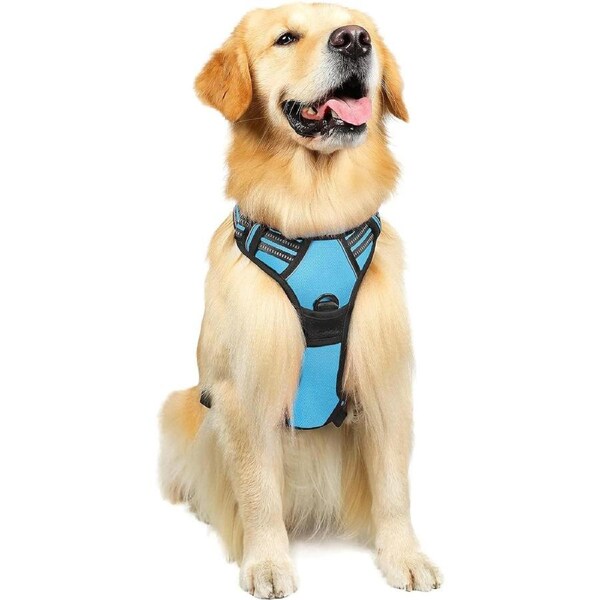 Dog Harness No Pull Pet Harness L Baby Blue