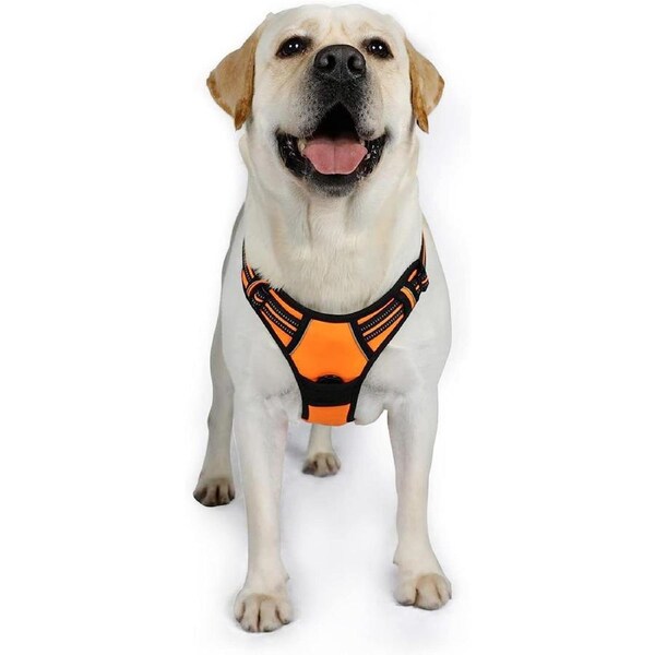 Dog Harness No Pull Pet Harness XL Orange