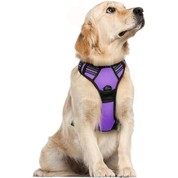 Dog Harness No Pull Pet Harness XL Purple