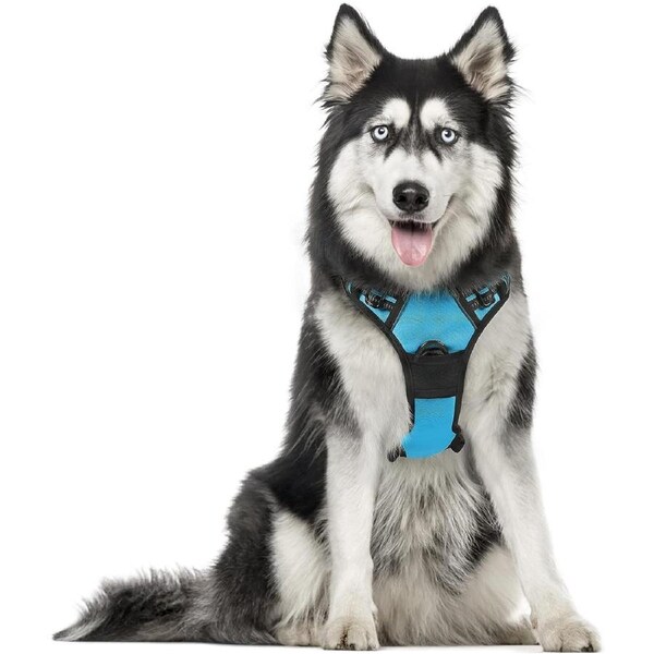 Dog Harness No-Pull Pet Harness XL Baby Blue