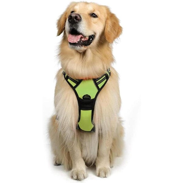 Dog Harness No Pull Pet Harness XL Green