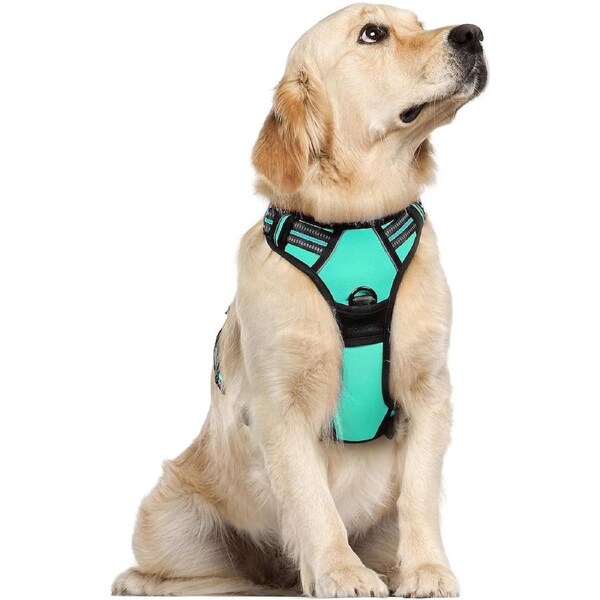 Dog Harness No Pull Pet Harness Small Dogs