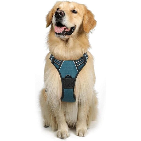 Dog Harness No Pull Pet Harness XL Teal