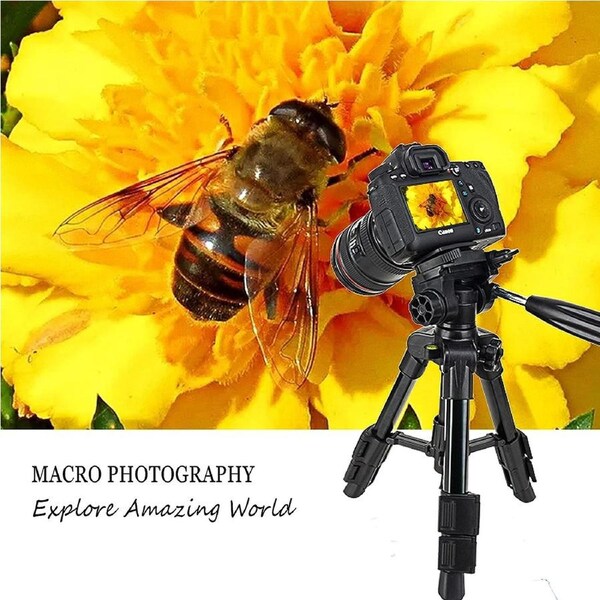 Mini Tripod for DSLR Camera Travel