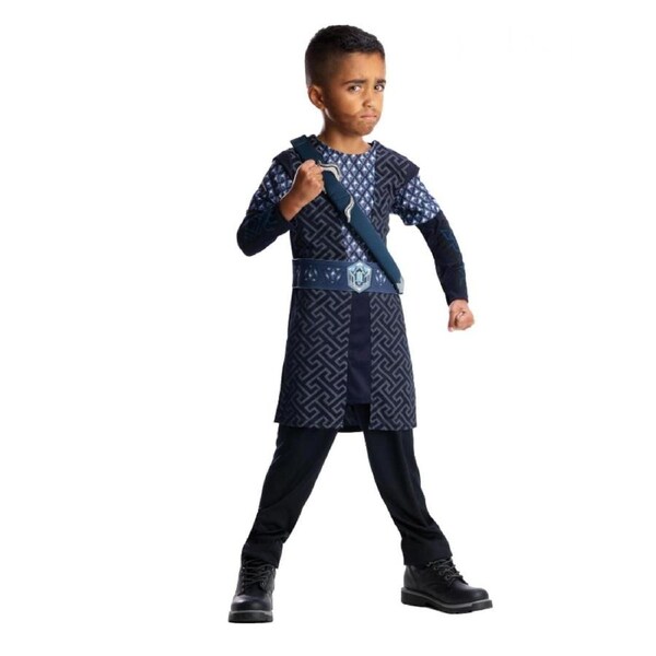 The Hobbit Thorin Deluxe Child Costume Size M 5-6 Years