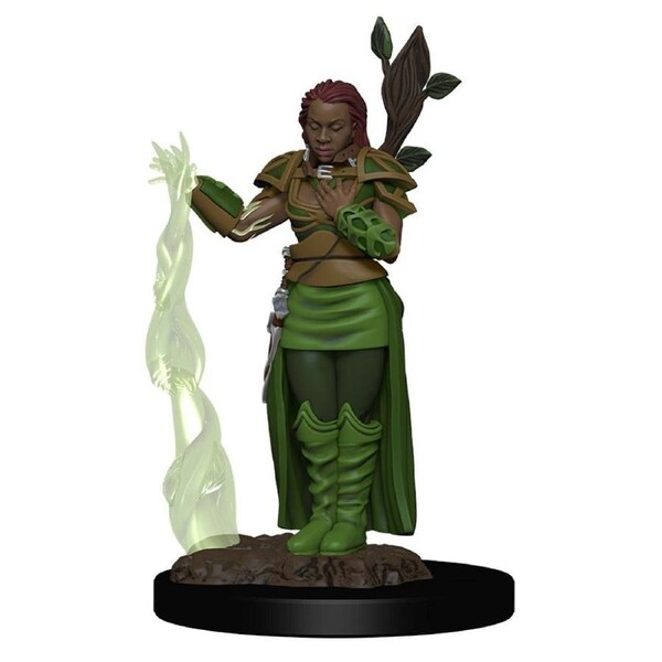 Dungeons and Dragons Human Female Druid Premium Figure