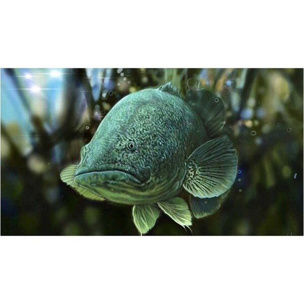 AFN Outdoor Protective Multipurpose Floor Mat Cod Fish Print 5mm Thick 70x40cm