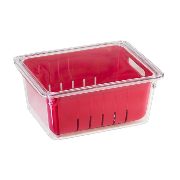 Oggi StoreFresh 22cm Fruit/Veggie Berry Bin Storage Basket Fridge Organiser Red