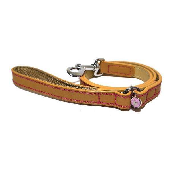 Rosewood 107cm Leather Pet/Dog Lead w/ Hook Training/Walking Animal Leash Tan