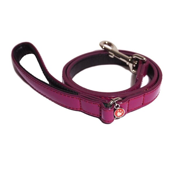 Rosewood Damson 102cm Leather Pet/Dog Lead Training/Walking Animal Leash M/L PNK