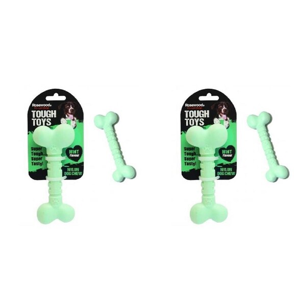 2x Rosewood Tough Toys Nylon Bone Dog Pet Dental Chew Fun Fetch Play Toy L Mint