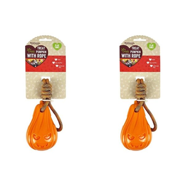 2x Rosewood Treat Pumpkin w/ Rope Pet Dog Interactive Fetch Fun Play Toy Orange