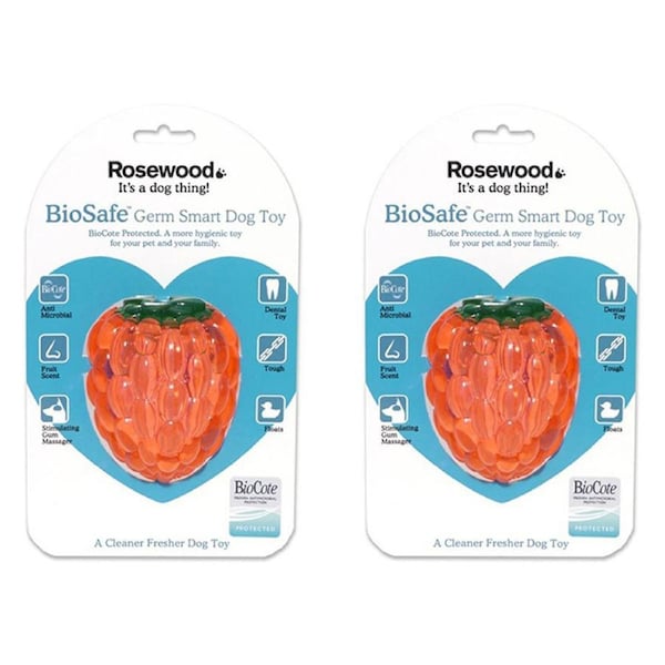 2x Rosewood 10cm Antimicrobial Raspberry Biosafe Pet Dog Dental Chew Toy Orange