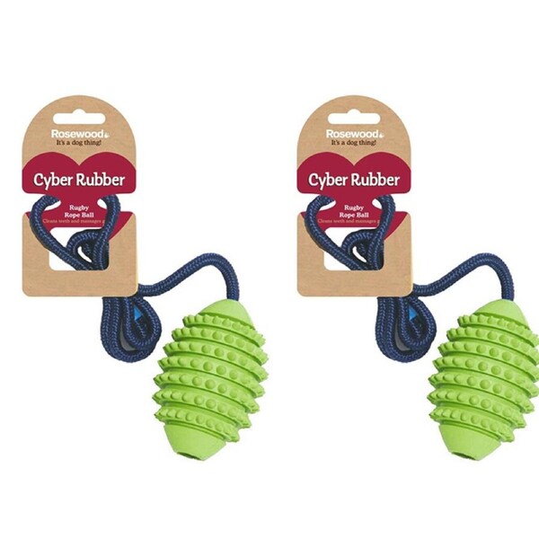2x Rosewood 60cm Rugby Ball/Rope Pet Dog Non-Toxic Training Toy Small Assorted
