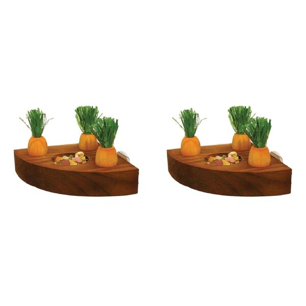 2x Rosewood 12cm Carrot Toy 'n' Treat Holder Hamster Pet Gnaw/Chew Activity NTRL
