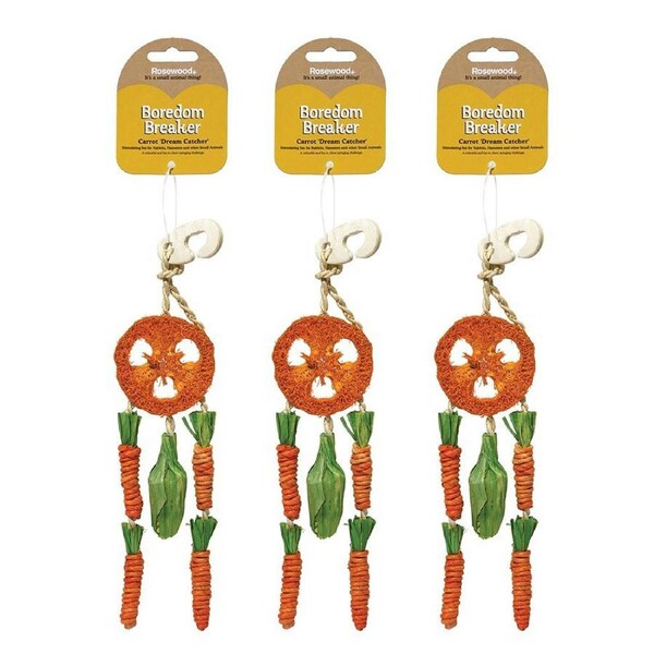 3x Rosewood Loofa Corn Leaf 34cm Carrot Dream Catcher Hamster/Rabbit Toy ORNG